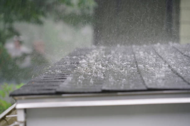 Best Flat Roofing  in North Bay Village, FL