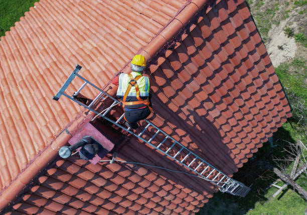 Best Asphalt Shingle Roofing  in North Bay Village, FL